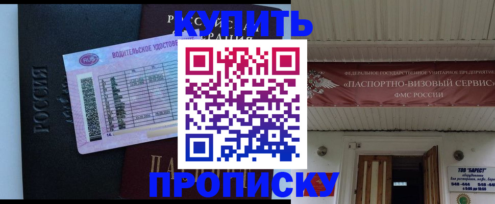 временная регистрация поиск в Мончегорске